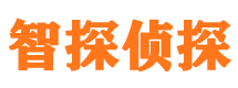 南溪外遇出轨调查取证